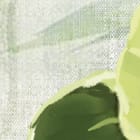 Miniatura fototapety Zielone liście na jasnym tle fragment #2