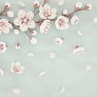 Miniatura fototapety Gałąź Sakura na Jasnym Tle