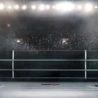 Miniatura fototapety Arena bokserska z pustym ringiem