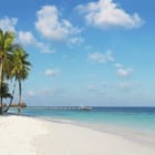 Miniatura fototapety Plaża z palmami i oceanem