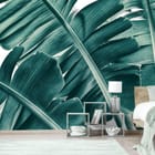 Miniatura fototapety Zielone Liście Bananowca we wnętrzu sypialni