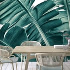 Miniatura fototapety Zielone Liście Bananowca we wnętrzu kuchni