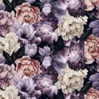 Miniatura fototapety Kwiaty Piwonii w Różu i Fiolecie