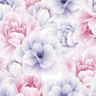 Miniatura fototapety Pastelowe Kwiaty Piwonii