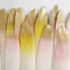 Miniatura fototapety Delikatne pióra z gradientem