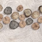 Miniatura fototapety Drewniane krążki na jasnym tle