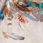 Miniatura fototapety Kolorowe pióra na jasnym tle