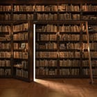 Miniatura fototapety Drewniane regały pełne książek