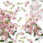 Miniatura fototapety Różowe kwiaty na białym tle