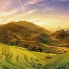 Miniatura fototapety Tarasowe pola ryżowe w górach