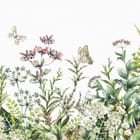 Miniatura fototapety Kwiaty polne na białym tle