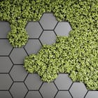 Miniatura fototapety Zielone Liście na Sześciokątach