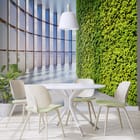 Miniatura fototapety Zielona ściana z widokiem we wnętrzu kuchni