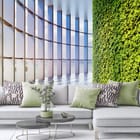 Miniatura fototapety Zielona ściana z widokiem we wnętrzu salonu