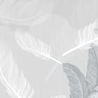 Miniatura fototapety Subtelne białe pióra na szarym tle