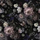 Miniatura fototapety Różowe róże na ciemnym tle