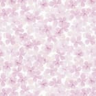 Miniatura fototapety Różowe kwiaty na białym tle