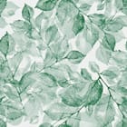 Miniatura fototapety Zielone liście na jasnym tle