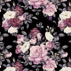 Miniatura fototapety Różowe i białe róże na czarnym tle