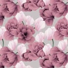 Miniatura fototapety Magnolie w odcieniach różu i fioletu