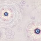 Miniatura fototapety Kwiaty i geometryczne wzory