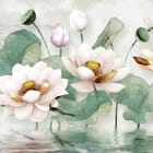 Miniatura fototapety Kwiaty lotosu na spokojnej wodzie