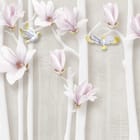 Miniatura fototapety Magnolie na białych gałęziach