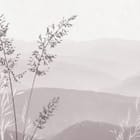 Miniatura fototapety Kwiaty polne i górskie pejzaże