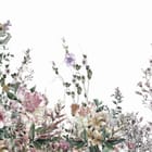 Miniatura fototapety Kwiaty polne na białym tle