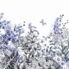 Miniatura fototapety Niebieskie Kwiaty Polne na Białym Tle