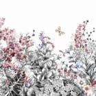 Miniatura fototapety Kwiaty polne na białym tle