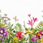 Miniatura fototapety Egzotyczne kwiaty i liście