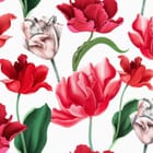 Miniatura fototapety Tulipany w odcieniach czerwieni i różu