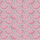 Miniatura fototapety Wzór z plasterkami arbuza