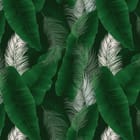 Miniatura fototapety Tropikalne liście z białymi piórami