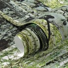 Miniatura fototapety Ścieżka wśród brzozowych drzew - realne zdjęcie w rolce
