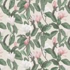 Miniatura fototapety Magnolie na gałęziach z liśćmi