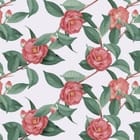 Miniatura fototapety Kamelie na gałęziach