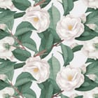 Miniatura fototapety Białe kwiaty i zielone liście