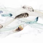 Miniatura fototapety Kolorowe pióra na białym tle