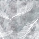 Miniatura fototapety Białe pióra na szarym tle