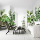 Miniatura fototapety Tropikalne liście i storczyki we wnętrzu salonu