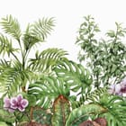 Miniatura fototapety Tropikalne liście i storczyki