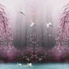 Miniatura fototapety Różowe Drzewa nad Wodą