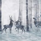 Miniatura fototapety Jelenie w zimowym lesie