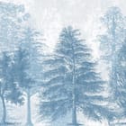 Miniatura fototapety Drzewa o różnorodnych kształtach