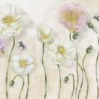 Miniatura fototapety Kolorowe kwiaty na łodygach