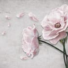 Miniatura fototapety Różowe Kwiaty na Szarym Tle