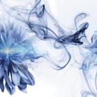 Miniatura fototapety Niebieskie kwiaty z dymem