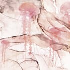 Miniatura fototapety Meduzy na abstrakcyjnym tle